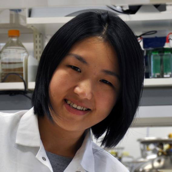 Qinglan Ling, Ph.D.