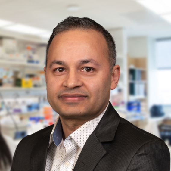 Madhab Sapkota, Ph.D. is a member of the David Greenberg Lab