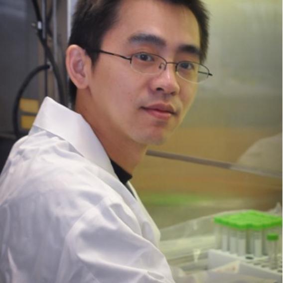 Shuiqing Hu, Ph.D