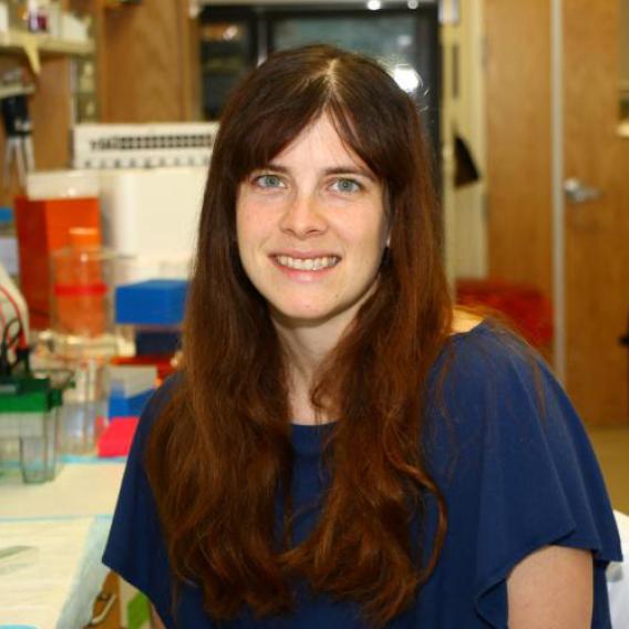 Summer Barron, smiling woman with long auburn hair, seated in lab.