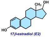 Estrogen Signaling