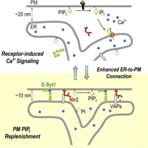 liou lab news image