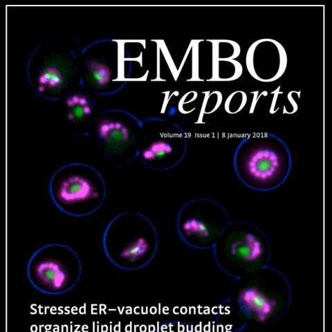 EMBO Reports Cover