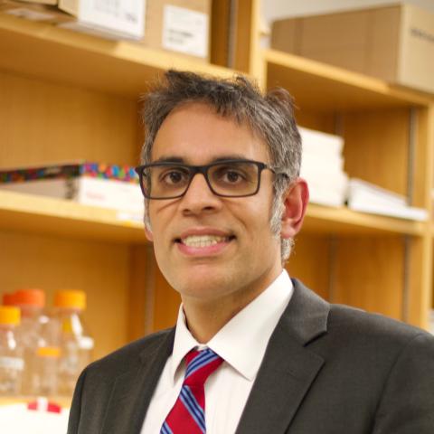 Deepak Nijhawan M.D., Ph.D.