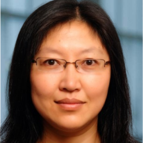 Qing Yuan, Ph.D.