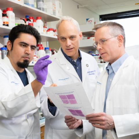 Three researchers in lab, looking at slides