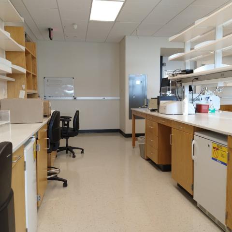 empty lab