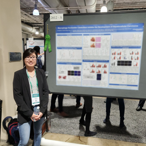 Chuanli Zhou, Ph.D. presenting her poster at AASLD Boston 2023