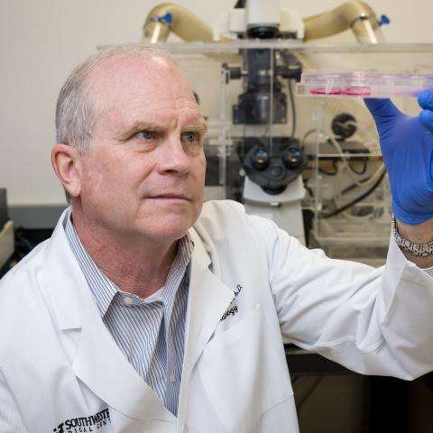 Dr. Petroll in lab coat holding up and examining lab samples.