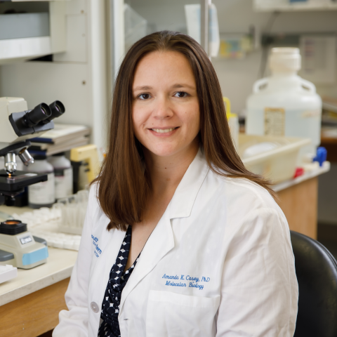 Amanda Casey, Assistant Professor, UTSW