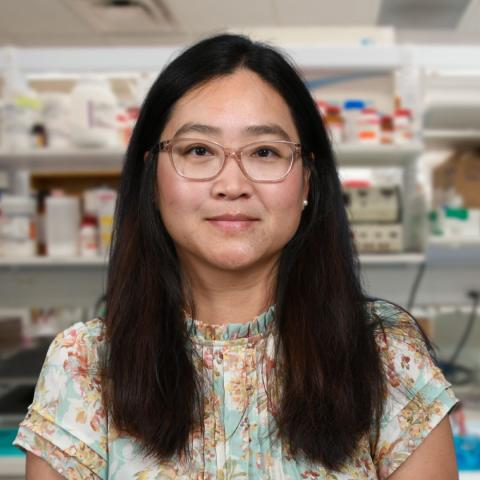 Dr. Ying Gao Lab photo