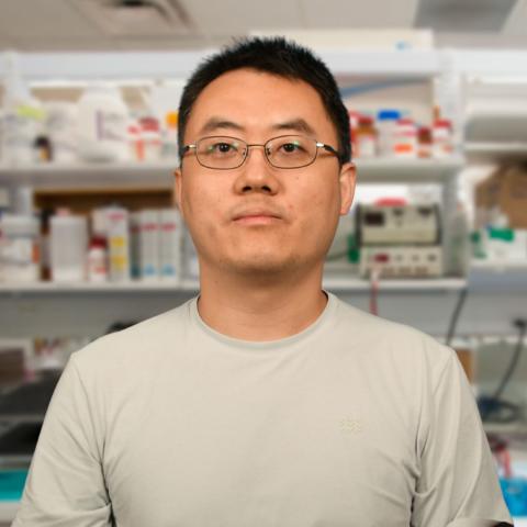 Haijie Li Lab Photo