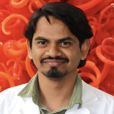 Siva Dallavalasa