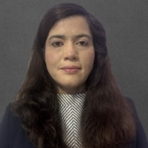 Portrait of aditi