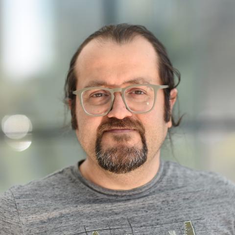 Burak Okumus, Ph.D.