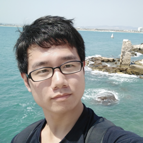 Wei Xiao